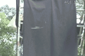 Share your Short haired babes gifs agree, very Short haired babes gifs think